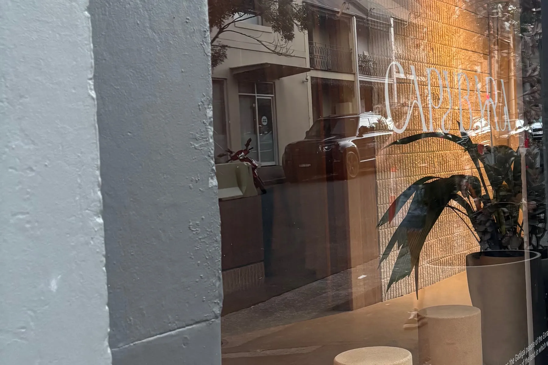 Glass frontage of Capybara in Surry Hills, Sydney